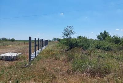 Teren de 2250 mp, în Milcov - 5