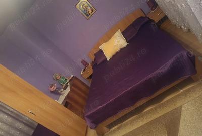 Casă cu 3 camere cu Teren 2800 Mp în Gherteniș - 6