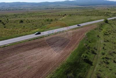 Teren agricol extravilan de 33000 mp, în Bolotești - 6