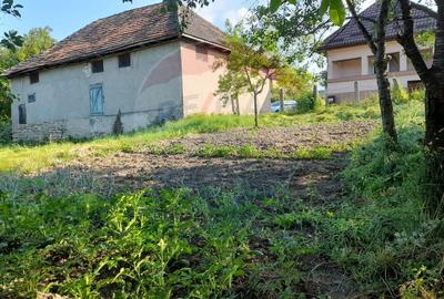 DE VANZARE- GOSPODARIE cu 95 arii teren - 2