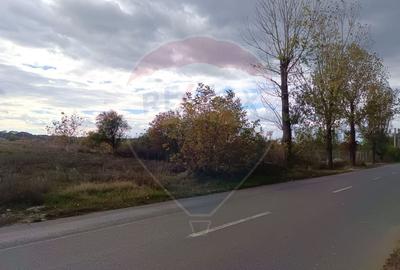 Teren 2,056mp Ciolpani - 7