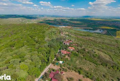 Casă cu 4 camere cu Teren 1425 Mp în Podgoria - 8