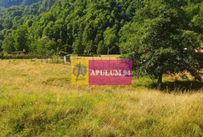 Teren Jude?ul Valcea - Brezoi, Valea lui Stan - 17