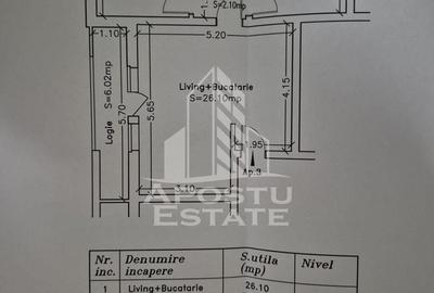Apartament cu 3 camere semidecomandat, mobilat în Dumbrăvița - 2