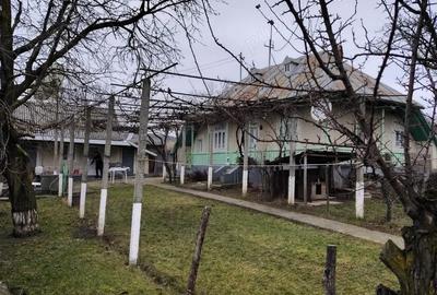 Casă cu Teren 1363 Mp în Siliștea - 3