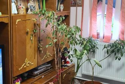 Apartament cu 3 camere semidecomandat în Hârșova - 3