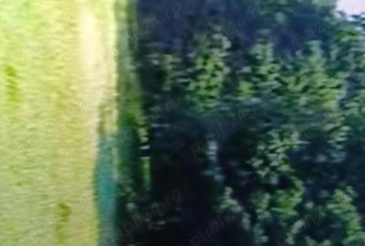Teren de 10000 mp, în Vulpeni - 7