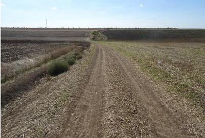 Teren extravilna Cota parte 1/16, CObadin, ID: R2782865 - 4