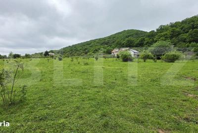 Spațiu comercial, în Sud - 3