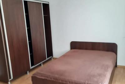 Apartament cu 2 camere decomandat în Turnișor - 6