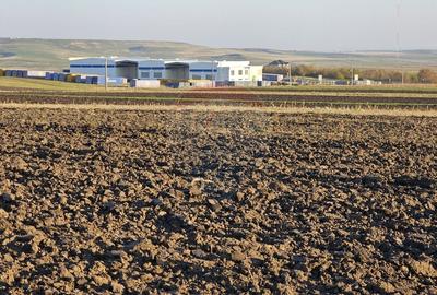 Teren agricol extravilan de 6100 mp, în Stroiești - 15