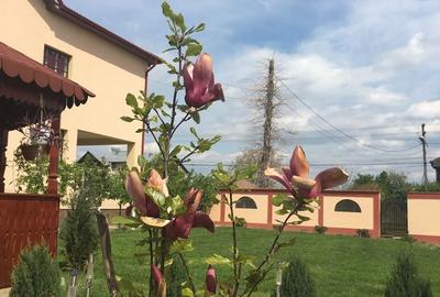 Casă cu 4 camere în Grădinari - 3