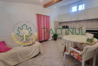 Casă spațioasă în Turnișor – teren 584 mp, apartament secundar, terasă - 11