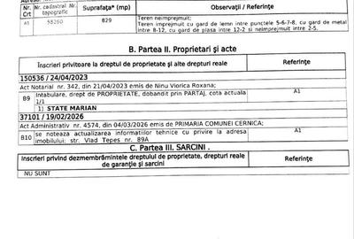 Spațiu comercial, în Tânganu - 5