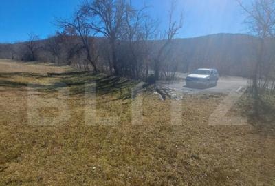 Teren de 5000 mp, în Almașu Mare - 3