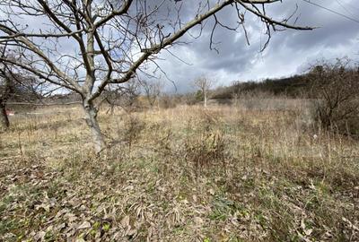 Teren intravilan in suprafata de 2000 mp, zona Episcopiei - 3