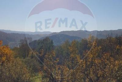 Teren Construcții intravilan de 4972 mp, în Bertea - 4