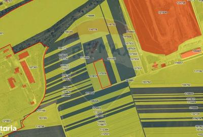 Spațiu comercial, în Centură - 2