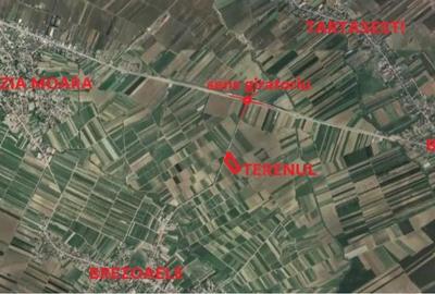 Teren de 5000 mp, în Brezoaele - 2