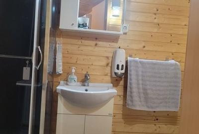 CASA SUPERBA 4 CAMERE ZONA VALU LUI TRAIAN 933MP - 22