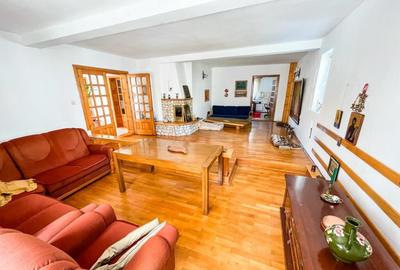 Vila Trivale Pitesti - 4