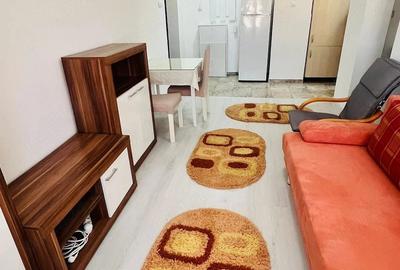 Apartament cu 2 camere decomandat în Cetate - 16