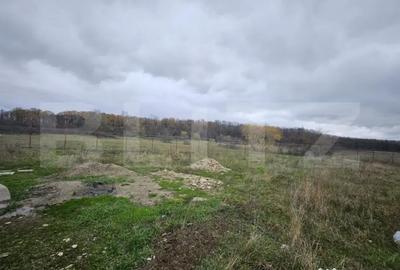 Teren de 1184 mp, în Abator