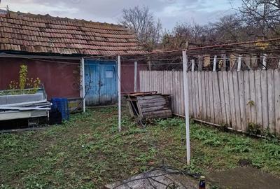 Casă cu 2 camere în Cozia - 8