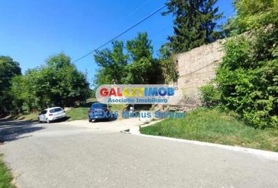 Teren în Răzvad - 1