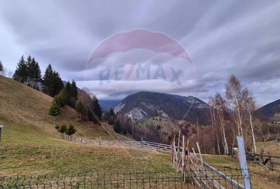 Comision 0 %/ Teren extravilan 13,570mp Pestera / Priveli... - 5