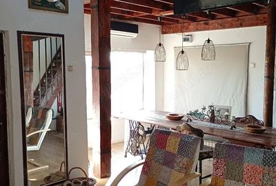 Casă cu Teren 24000 Mp în Casian - 5