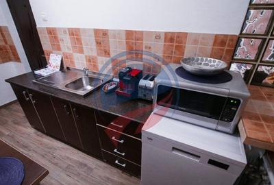 Garsoniera/de inchiriat/Craiova/ Ultracentral - 3