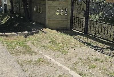 Casă cu Teren 635 Mp în Blidari - 2