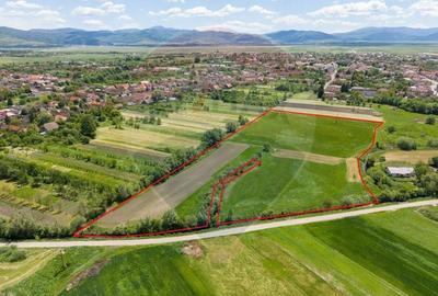 Teren agricol extravilan de 25100 mp, în Prejmer - 4