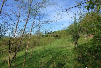 Teren intravilan si cladire in Apuseni, Blajeni, Hd - 16