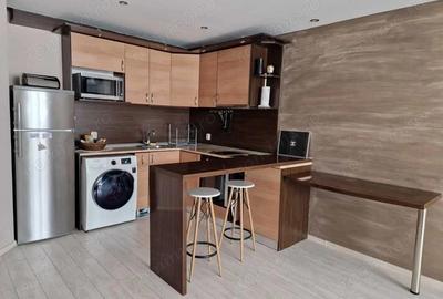 Apartament cu 1 camera in zona Sagului - 3