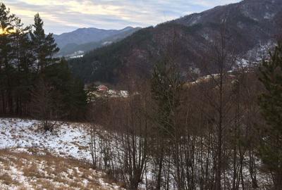 Teren de 4420 mp, în Vinețisu - 8