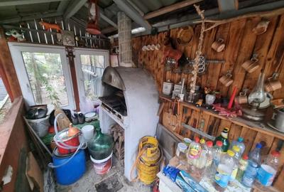 Delfinariu -casa de caramida - 18