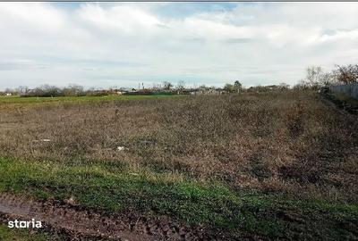 Teren de 1578 mp, în Mălureni - 5