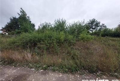 Teren 840 mp in Birnova cu panorama deosebita - 11