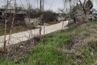 Teren în Dărmănești - 3