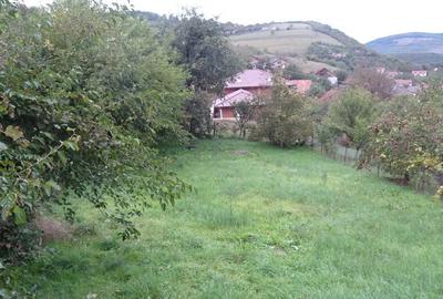 Vand teren intravilan in Deva, zona Viile Noi, suprafata totala 581 mp - 5