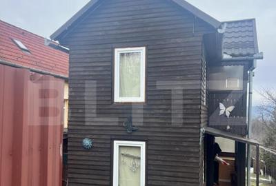 Cabana de lemn- Vatmani - 6