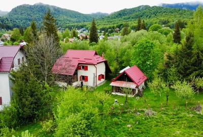 Vila vacanta Cheia - Prahova, pretabila pentru investitie - 36