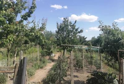 Casă cu 3 camere în Abuș - 1