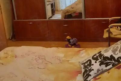 Apartament cu 2 camere semidecomandat în Bucur Obor - 3