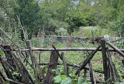 VAND CASA BATRANEASCA, 3,1 HA IN JURUL CASEI, COM.CETATENI - 7