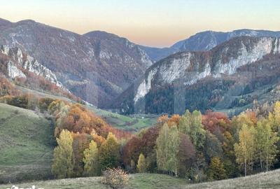 Teren de 5200 mp, în Ponor - 1