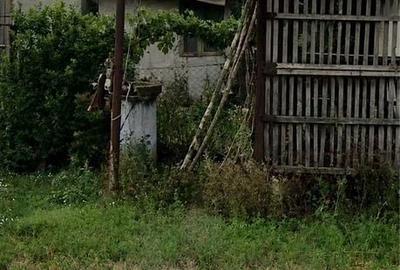 Spațiu comercial, în Mereni