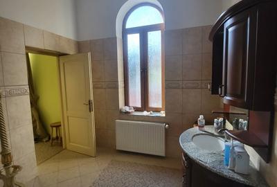 Vila boiereasca, superba, strada, linistita, nelipita de vreun alt imobil Vila boiereasca, superba, strada, linistita, nelipita de vreun alt imobil - 10